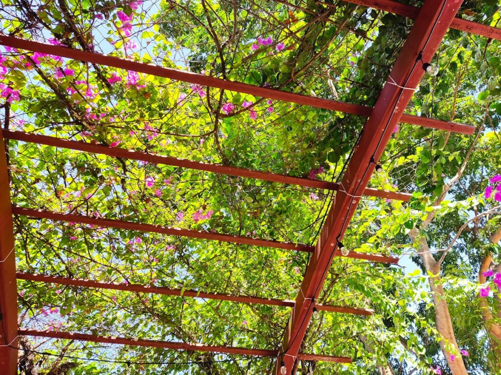Estructura de pérgola de aluminio en un patio