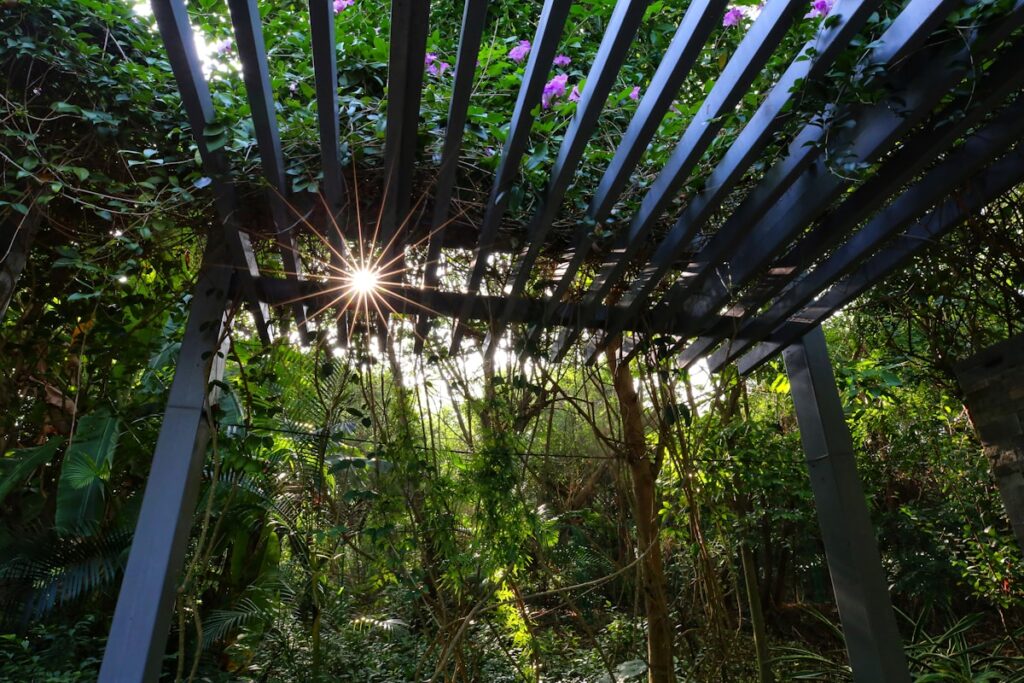 Estructura de pérgola bioclimática autoportante rodeada de árboles